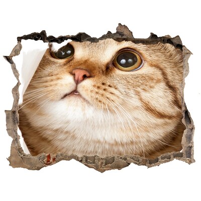 Díra 3D fototapeta na stěnu nálepka Mačka v diere v stene