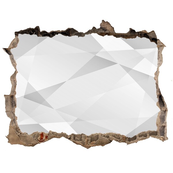 Díra 3D fototapeta nálepka Rozbitá stena so zrkadlovým obrazom