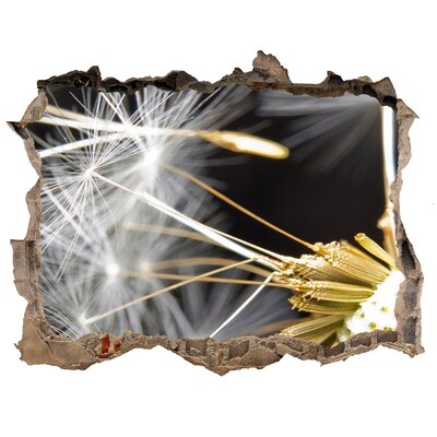 Samolepící díra na stěnu Kvetinový sen cez dieru v stene