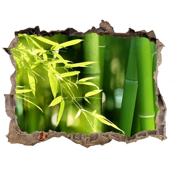 Samolepící díra na stěnu nálepka Zelený bambusový les