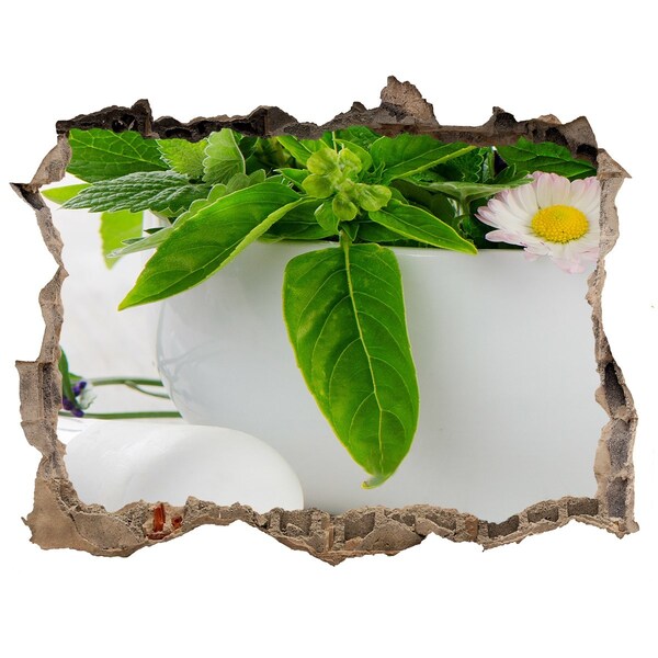 Nálepka 3D díra na zeď Zelená vegetácia v poškodenej stene