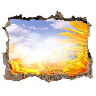 Samolepící díra nálepka Slnečnice na slnku
