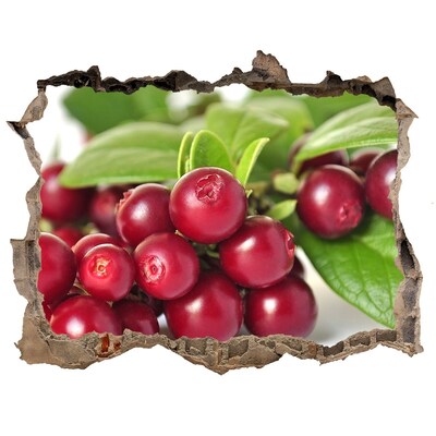 Nálepka 3D díra na zeď Ovocná diera v stene