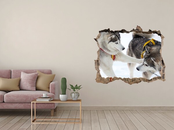 Díra 3D fototapeta na stěnu Sibírske husky v akcii