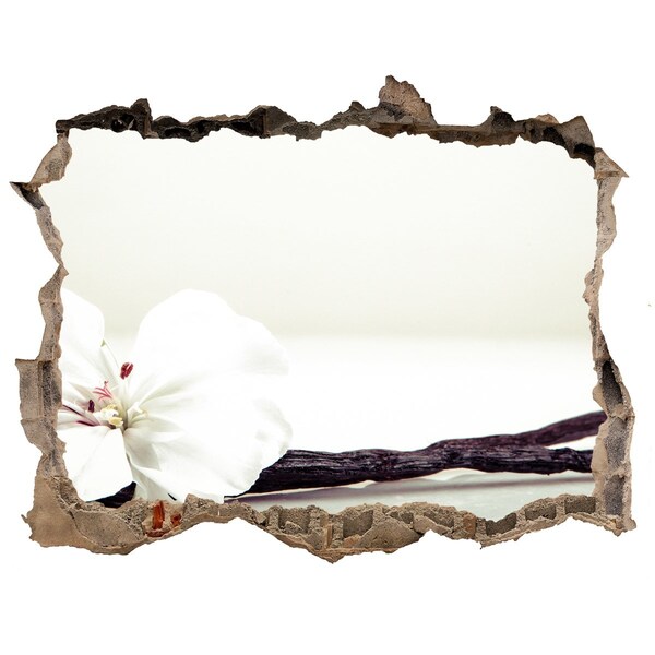 Samolepící díra nálepka Kvetinový pohľad cez stenu