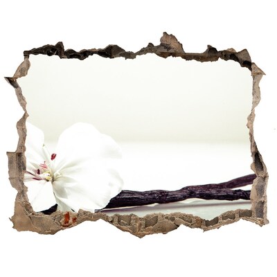 Samolepící díra nálepka Kvetinový pohľad cez stenu