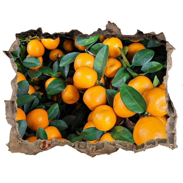 Nálepka 3D díra beton Ovocie v pomarančovej záhrade