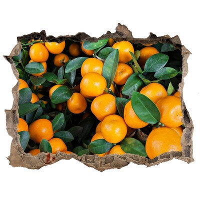 Nálepka 3D díra beton Ovocie v pomarančovej záhrade