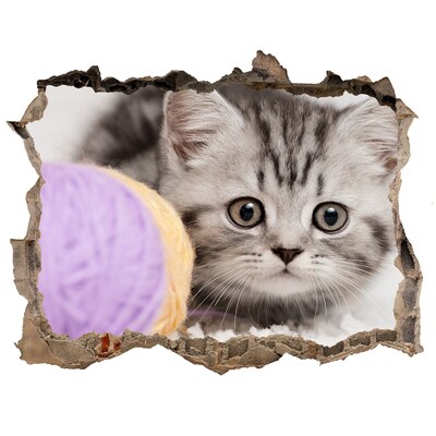 Díra 3D fototapeta nálepka Mačka s motko