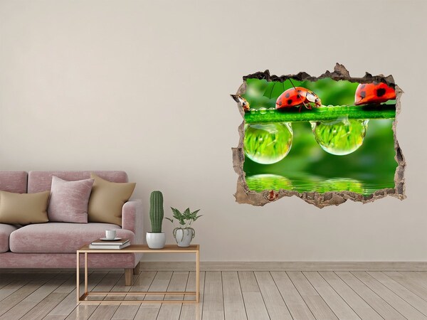 Díra 3D fototapeta na stěnu Kvapka prírody s lienkou