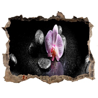 Samolepící díra na stěnu nálepka Orchidea