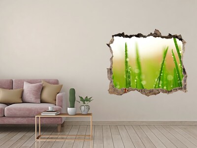 Samolepící díra na stěnu nálepka Zelená lúka s kvapkami vody