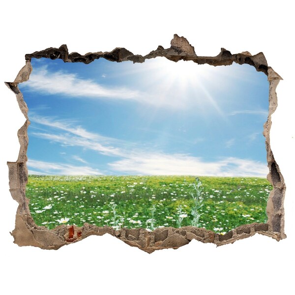 Nálepka fototapeta 3D výhled beton Kvetinová lúka pod modrou oblohou