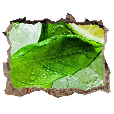 Nálepka 3D díra na zeď Čerstvé lístky mäty na ľade