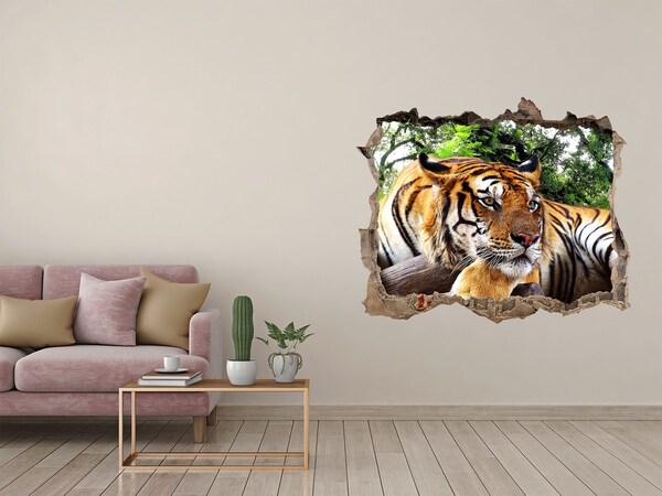 Díra 3D fototapeta na stěnu Tiger na skale