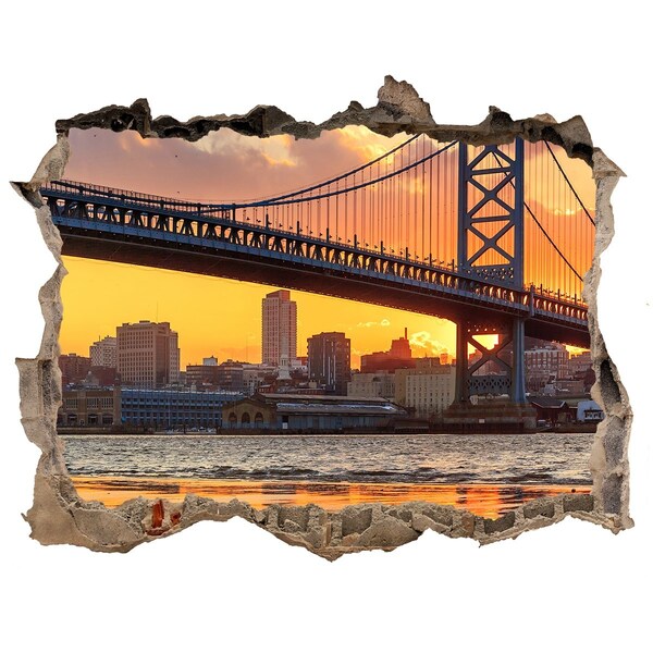 Fototapeta díra na zeď 3D Bridge philadelphia