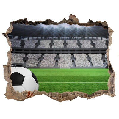 Fototapeta díra na zeď 3D Futbalový štadión s loptou