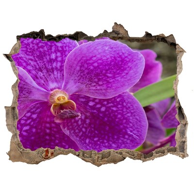 Samolepící díra nálepka Orchidea