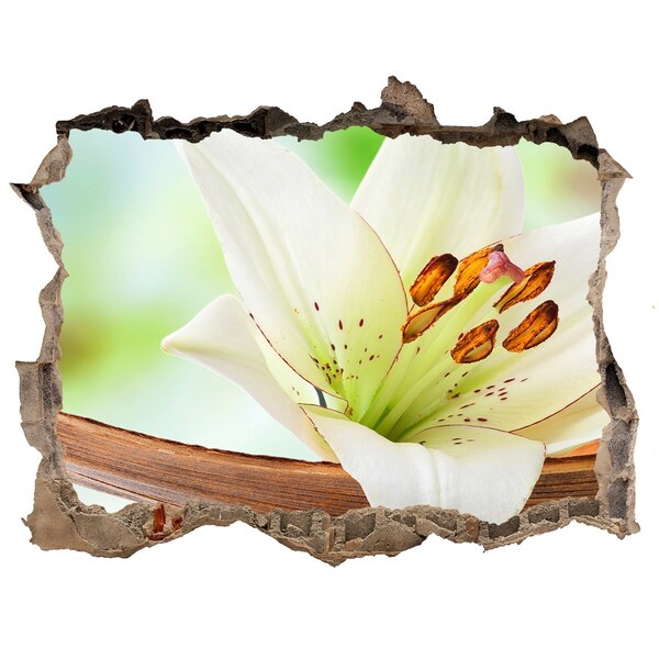 Samolepící díra nálepka beton Kvetinová oáza v betóne