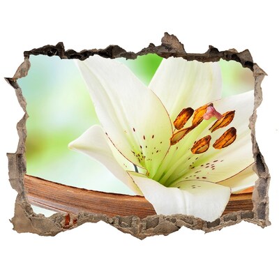 Samolepící díra nálepka beton Kvetinová oáza v betóne