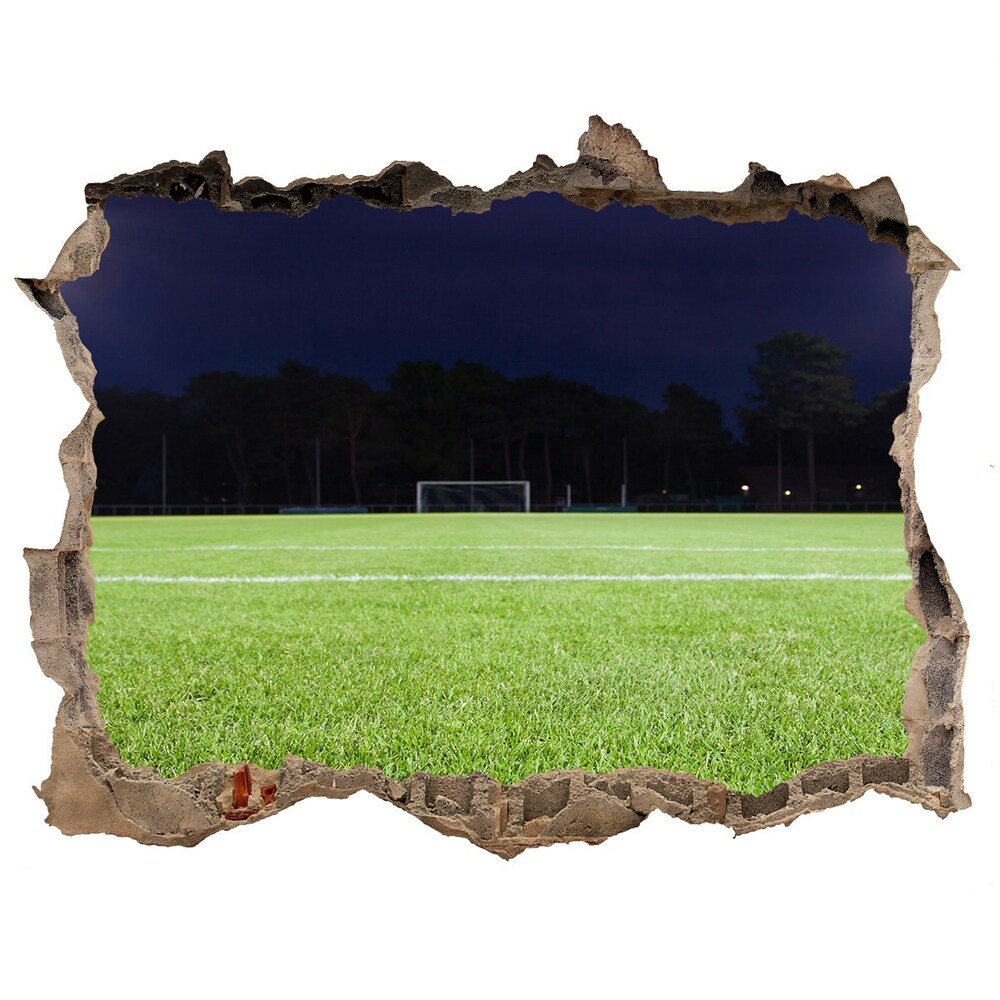 Fototapeta díra na zeď 3D Futbalové ihrisko