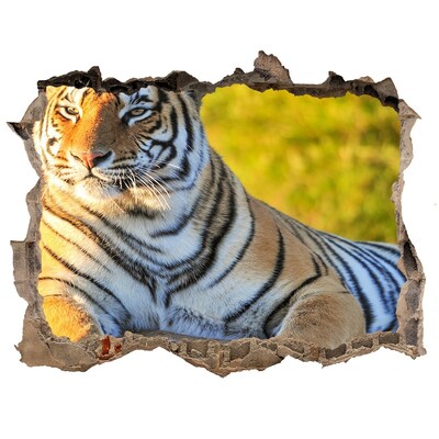 Díra 3D fototapeta nálepka Tiger v jeho prirodzenom prostredí
