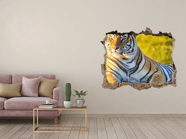 Díra 3D fototapeta nálepka Tiger v jeho prirodzenom prostredí