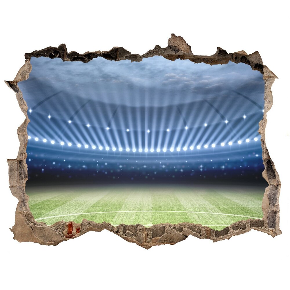 Fototapeta díra na zeď 3D nálepka Štadión