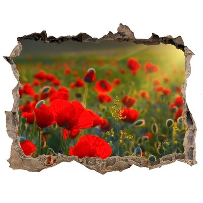 Nálepka fototapeta 3D výhled Maková pole