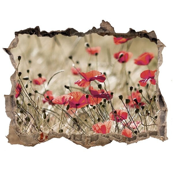 Samolepící díra nálepka beton Kvetinový raj medzi betónom