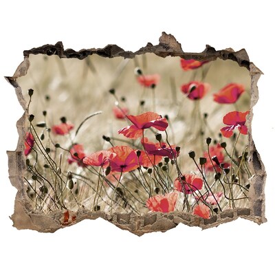 Samolepící díra nálepka beton Kvetinový raj medzi betónom