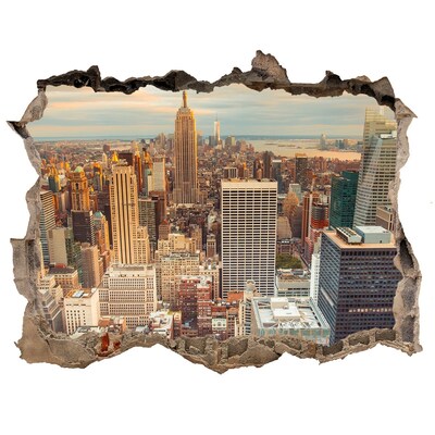 Nálepka fototapeta 3D New york letu vták