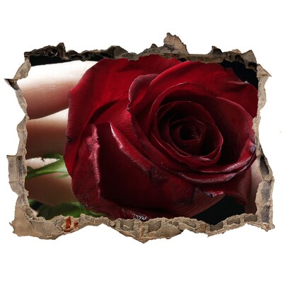 Fotoobraz díra na stěnu Ruža v zničenej stene