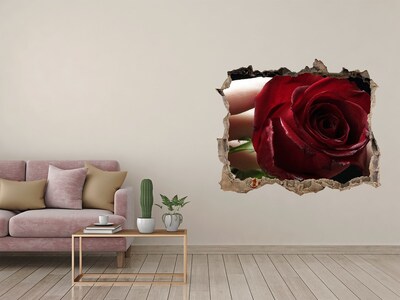 Fotoobraz díra na stěnu Žena s ruží