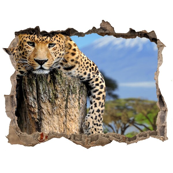 Díra 3D fototapeta na stěnu Leopard na pni