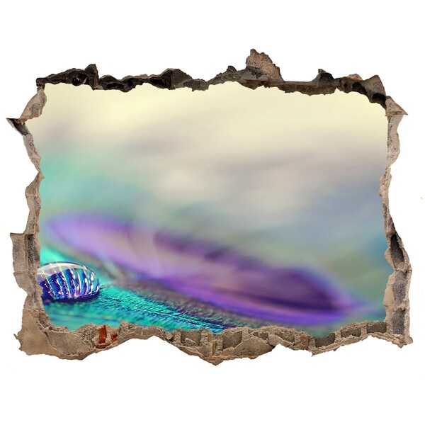 Díra 3D fototapeta na stěnu Kvapka na pávím perí