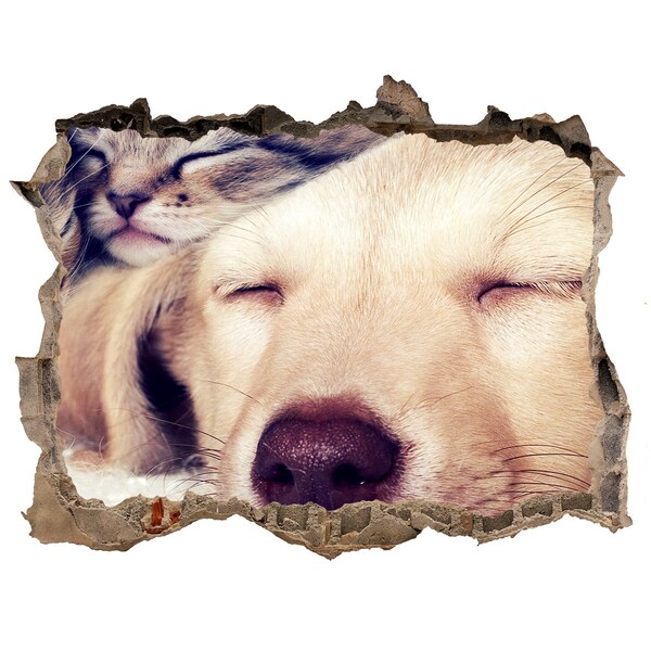 Díra 3D fototapeta na stěnu Roztomilý pes v diere v stene