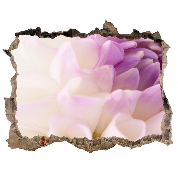 Samolepící díra na stěnu Kvetinová ilúzia v betóne