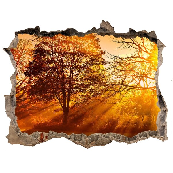 Nálepka fototapeta 3D výhled Zlaté lúče slnka v lese