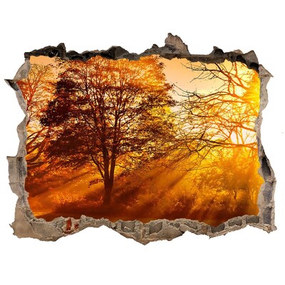 Nálepka fototapeta 3D výhled Zlaté lúče slnka v lese