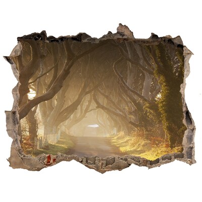 Nálepka fototapeta 3D výhled Hmla v lese