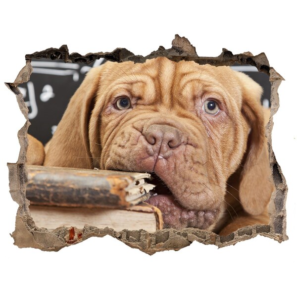 Díra 3D fototapeta Milé šteniatko medzi knihami