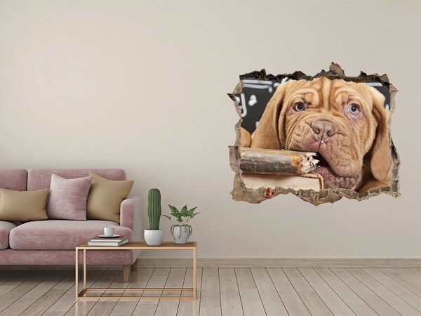 Díra 3D fototapeta Milé šteniatko medzi knihami