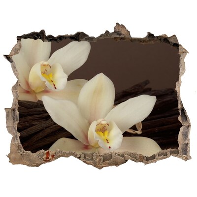 Samolepící díra na stěnu Kvety orchideí v poškodenej stene