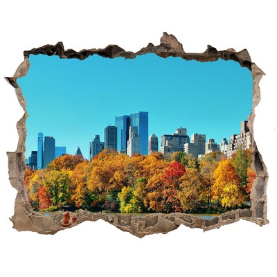 Fototapeta díra na zeď 3D Jeseň v New Yorku