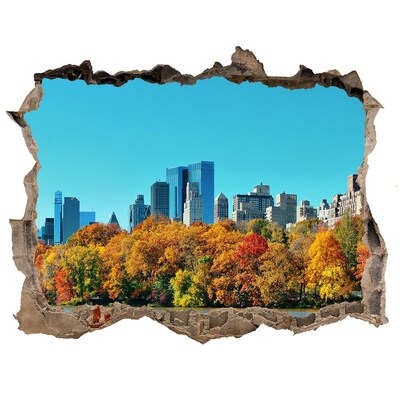 Fototapeta díra na zeď 3D New york na jeseň