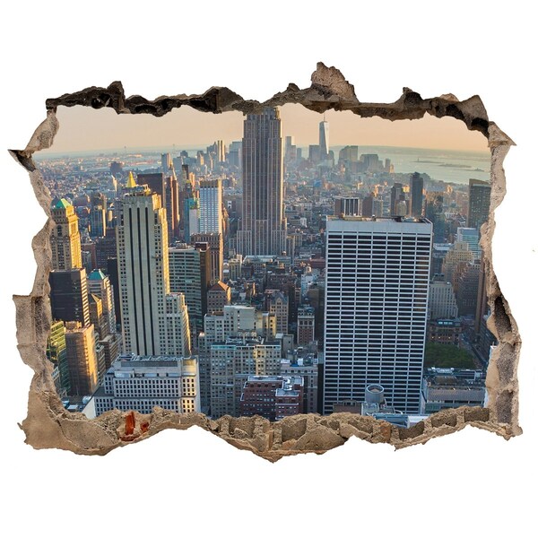 Fototapeta díra na zeď 3D Manhattan new york city