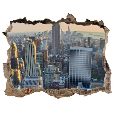 Fototapeta díra na zeď 3D Pohľad na New York