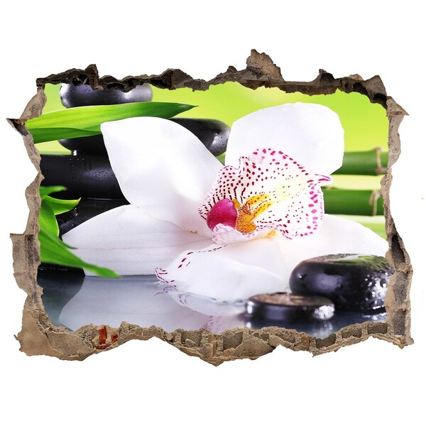 Samolepící díra na stěnu nálepka Kvetinová oáza pokoja