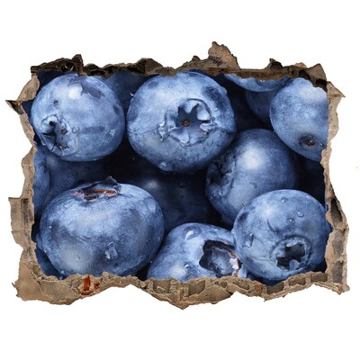 Nálepka 3D díra beton Bobule v betóne